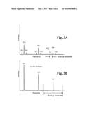 Method and Apparatus for Infrared Scattering Scanning Near-field Optical     Microscopy diagram and image