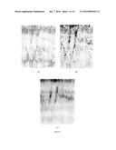 Enhanced Visualisation of Geologic Features in 3D Seismic Survey Data diagram and image