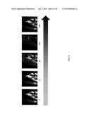 HIGH FRAME-RATE MULTICHANNEL BEAM-SCANNING MICROSCOPY diagram and image