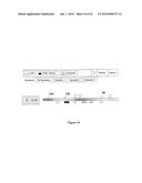 SYSTEMS AND METHODS FOR ORGANIZING AND ANALYZING AUDIO CONTENT DERIVED     FROM MEDIA FILES diagram and image