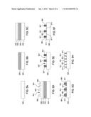 ULTRA-CONFORMAL CARBON FILM DEPOSITION LAYER-BY-LAYER DEPOSITION OF     CARBON-DOPED OXIDE FILMS diagram and image