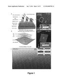 PROCESSING TECHNIQUES FOR SILICON-BASED TRANSIENT DEVICES diagram and image