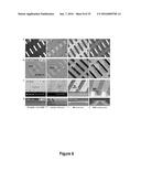 PROCESSING TECHNIQUES FOR SILICON-BASED TRANSIENT DEVICES diagram and image