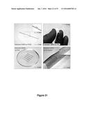 PROCESSING TECHNIQUES FOR SILICON-BASED TRANSIENT DEVICES diagram and image