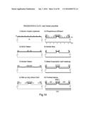 BIPOLAR JUNCTION TRANSISTOR STRUCTURE diagram and image