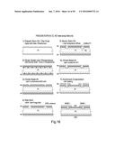 BIPOLAR JUNCTION TRANSISTOR STRUCTURE diagram and image