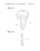 METHOD FOR RAISING LEAF-AND-STEM VEGETABLES AND LIGHT SOURCE DEVICE FOR     RAISING LEAF-AND-STEM VEGETABLES diagram and image