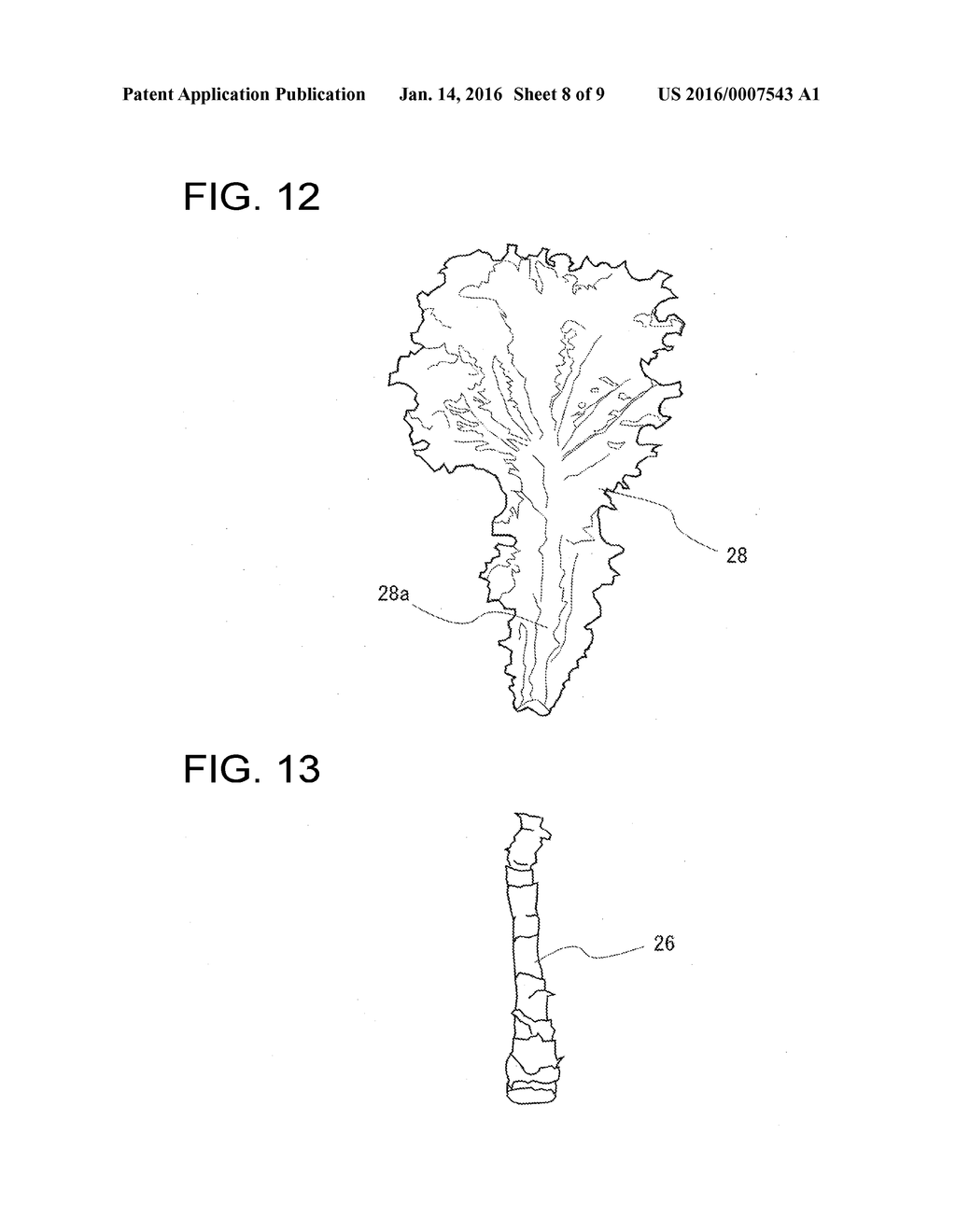 METHOD FOR RAISING LEAF-AND-STEM VEGETABLES AND LIGHT SOURCE DEVICE FOR     RAISING LEAF-AND-STEM VEGETABLES - diagram, schematic, and image 09