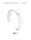 LIVING BODY STIMULATION DEVICE AND LIVING BODY STIMULATION METHOD diagram and image