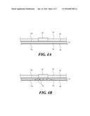 LIVING BODY STIMULATION DEVICE AND LIVING BODY STIMULATION METHOD diagram and image