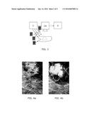 IMAGING SYSTEM WITH HYPERSPECTRAL CAMERA GUIDED PROBE diagram and image