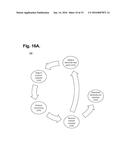 Ambulatory Electrocardiography Monitoring Patch Optimized For Capturing     Low Amplitude Cardiac Action Potential Propagation diagram and image