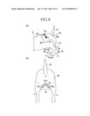 ABSORBENT ARTICLE FOR PET ANIMALS diagram and image