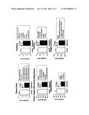 BETA-2-ADRENERGIC RECEPTOR AGONIST FOR IMPROVING SKIN SCAR COLOUR MATCHING diagram and image