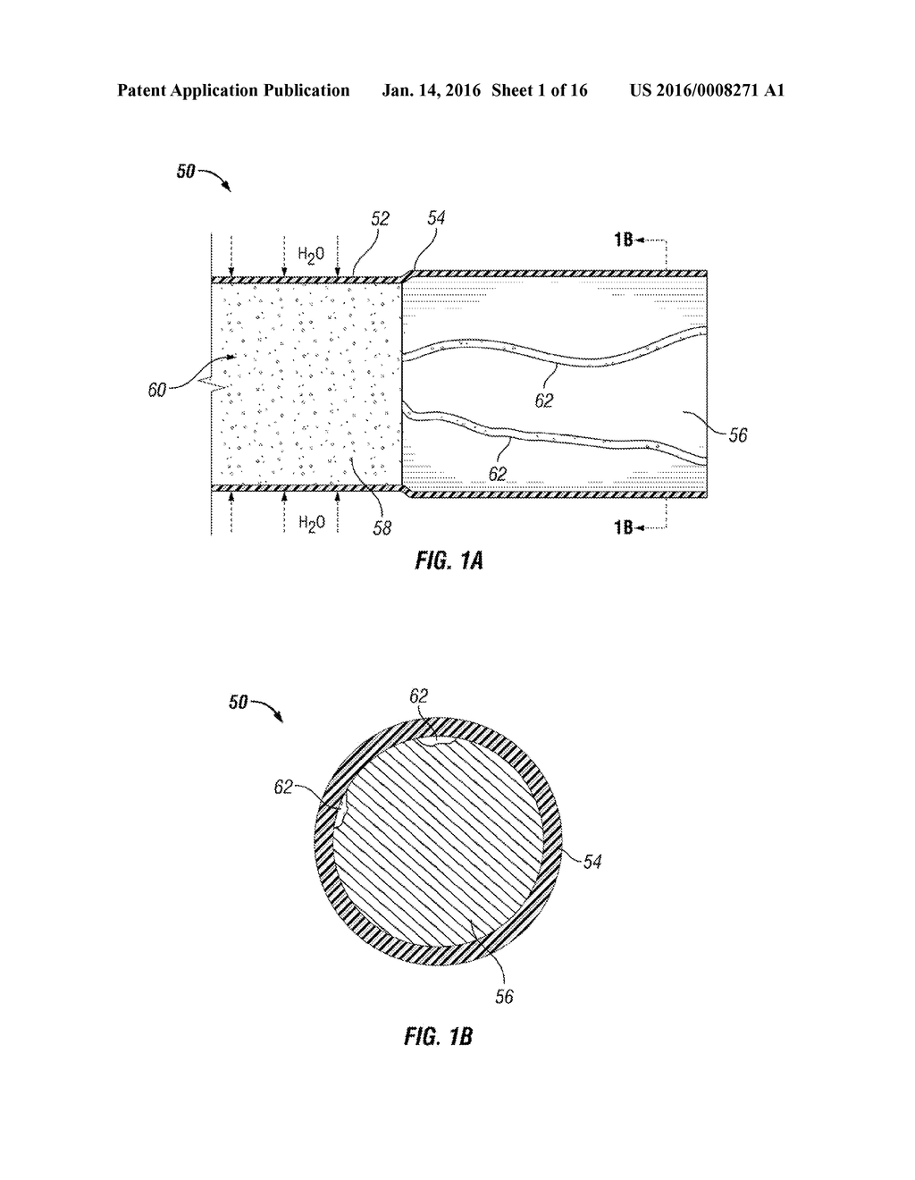 DRUG DELIVERY DEVICES AND METHODS FOR DRUG DELIVERY - diagram, schematic, and image 02