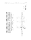 PHARMACEUTICAL COMPOSITIONS FOR INHIBITING ANGIOGENESIS diagram and image