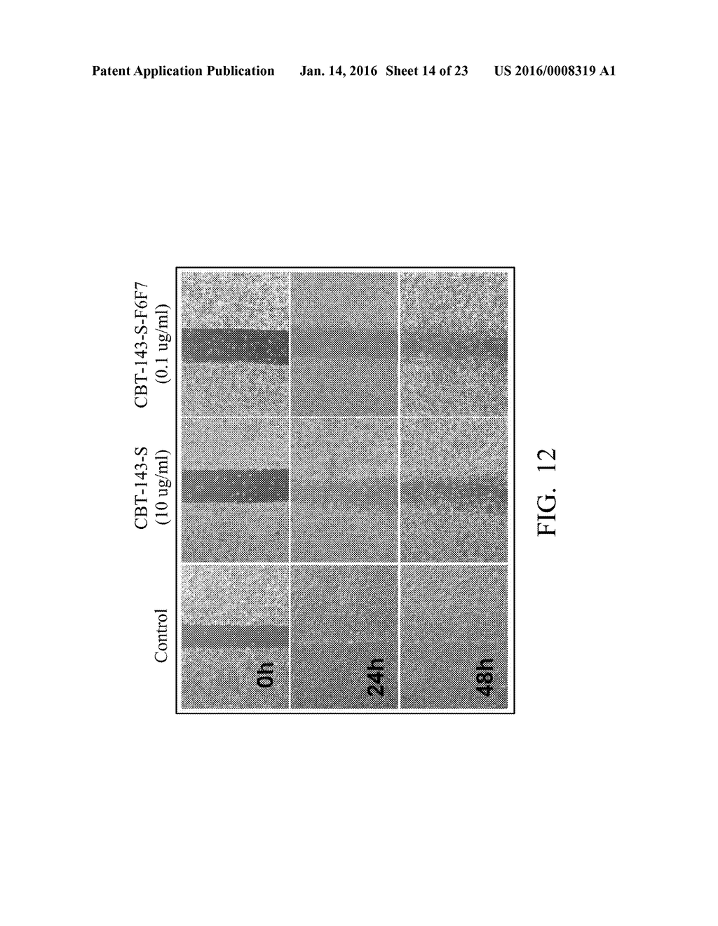 PHARMACEUTICAL COMPOSITIONS FOR INHIBITING ANGIOGENESIS - diagram, schematic, and image 15