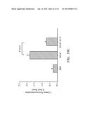 PHARMACEUTICAL COMPOSITIONS FOR INHIBITING ANGIOGENESIS diagram and image