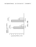 PHARMACEUTICAL COMPOSITIONS FOR INHIBITING ANGIOGENESIS diagram and image