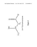 ISCHEMIA/REPERFUSION PROTECTION COMPOSITIONS AND METHODS OF USING diagram and image