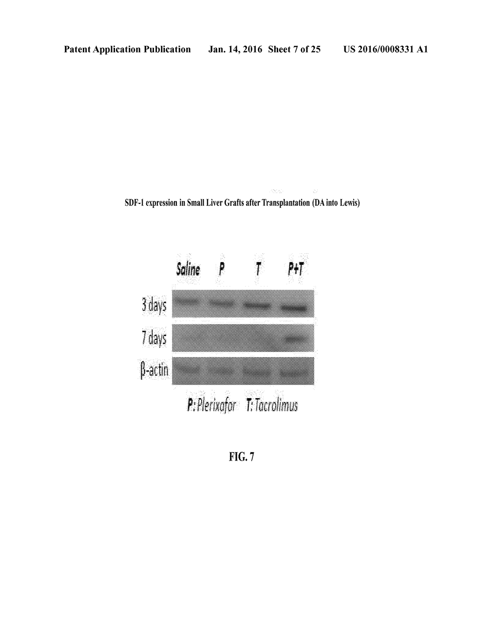 COMPOSITIONS AND METHODS FOR TREATING INFLAMMATORY BOWEL DISEASE - diagram, schematic, and image 08