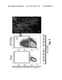 METHODS OF IMPROVING CELL-BASED THERAPY diagram and image