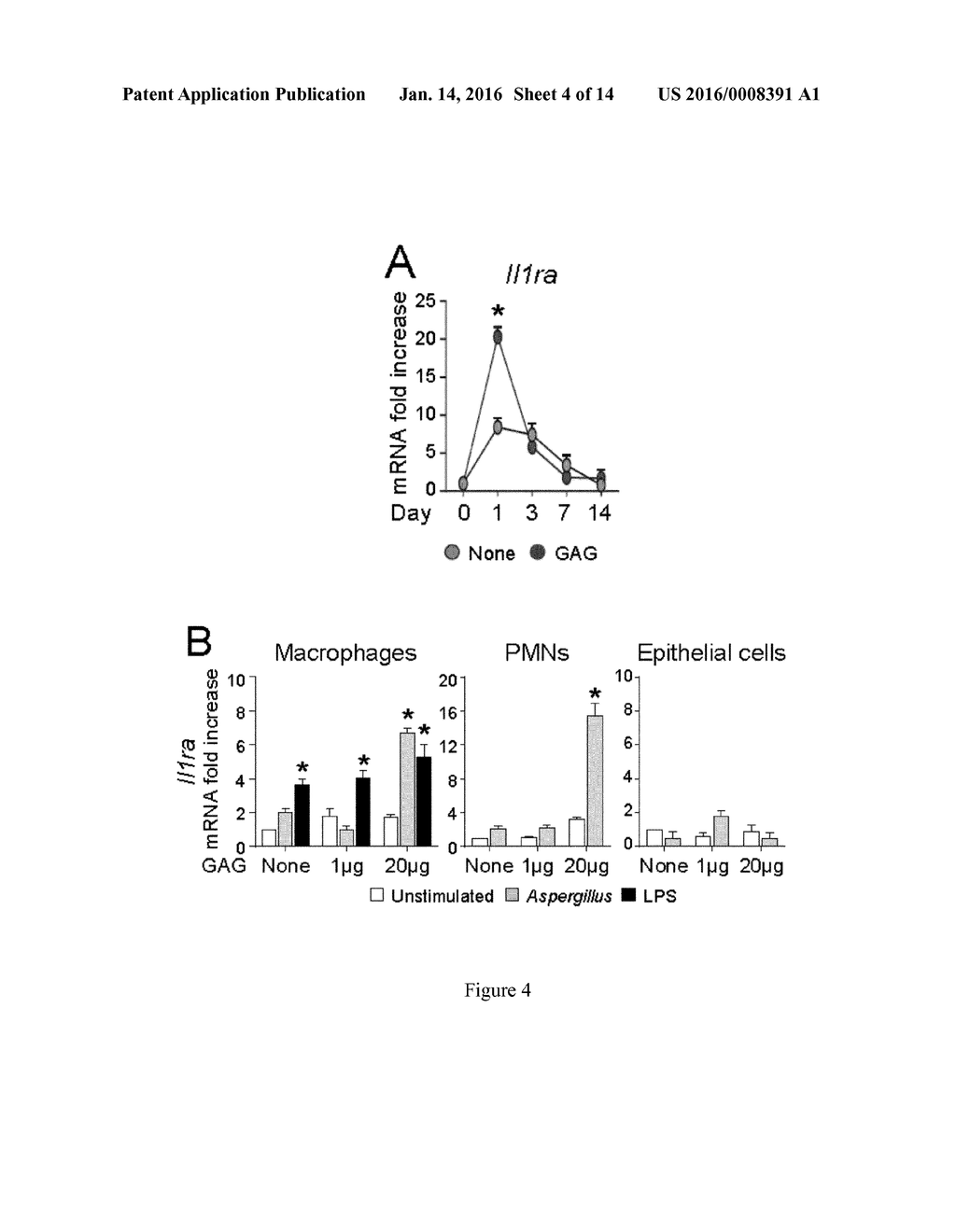 GALACTOSAMINOGALACTAN COMPRISING alpha-1-4 LINKED GALACTOSE AND alpha-1-4     LINKED N-ACETYLGALACTOSAMINE FOR USE IN THE TREATMENT OF AT LEAST ONE     INFLAMMATORY DISEASE - diagram, schematic, and image 05