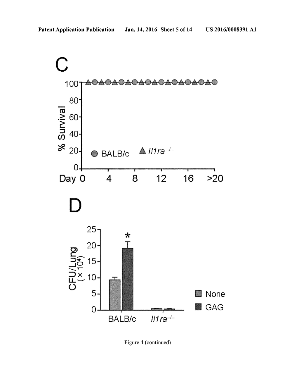 GALACTOSAMINOGALACTAN COMPRISING alpha-1-4 LINKED GALACTOSE AND alpha-1-4     LINKED N-ACETYLGALACTOSAMINE FOR USE IN THE TREATMENT OF AT LEAST ONE     INFLAMMATORY DISEASE - diagram, schematic, and image 06