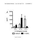 GALACTOSAMINOGALACTAN COMPRISING alpha-1-4 LINKED GALACTOSE AND alpha-1-4     LINKED N-ACETYLGALACTOSAMINE FOR USE IN THE TREATMENT OF AT LEAST ONE     INFLAMMATORY DISEASE diagram and image