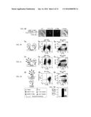 CONSTITUTIVE EXPRESSION OF COSTIMULATORY LIGANDS ON ADOPTIVELY TRANSFERRED     T LYMPHOCYTES diagram and image