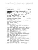 CONSTITUTIVE EXPRESSION OF COSTIMULATORY LIGANDS ON ADOPTIVELY TRANSFERRED     T LYMPHOCYTES diagram and image