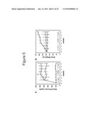 ADIPOSE TISSUE-DERIVED STEM CELLS FOR VETERINARY USE diagram and image