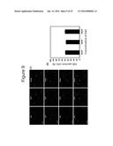 ADIPOSE TISSUE-DERIVED STEM CELLS FOR VETERINARY USE diagram and image