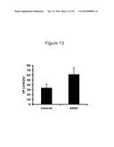 ADIPOSE TISSUE-DERIVED STEM CELLS FOR VETERINARY USE diagram and image