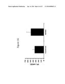 ADIPOSE TISSUE-DERIVED STEM CELLS FOR VETERINARY USE diagram and image