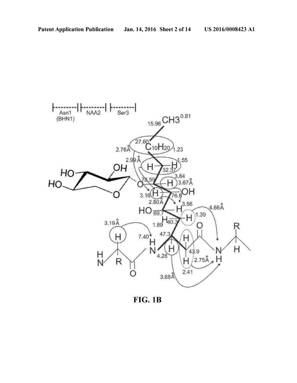 Occidiofungin, a unique antifungal glycopeptide produced by a strain of     Burkholderia contaminans - diagram, schematic, and image 03