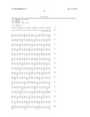 KNTC2 PEPTIDES AND VACCINES CONTAINING THE SAME diagram and image