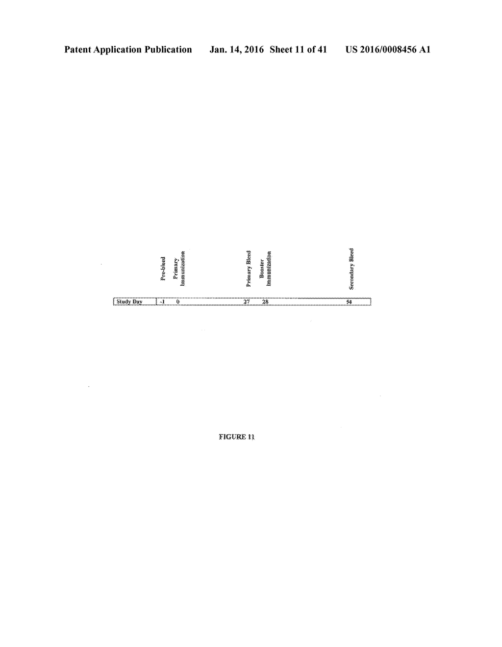 FUNCTIONAL INFLUENZA VIRUS-LIKE PARTICLES (VLPS) - diagram, schematic, and image 12