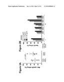 THERAPY INVOLVING ANTIBODIES AGAINST CLAUDIN 18.2 FOR TREATMENT OF CANCER diagram and image