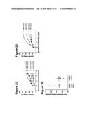 THERAPY INVOLVING ANTIBODIES AGAINST CLAUDIN 18.2 FOR TREATMENT OF CANCER diagram and image