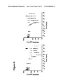 THERAPY INVOLVING ANTIBODIES AGAINST CLAUDIN 18.2 FOR TREATMENT OF CANCER diagram and image