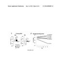 METHODS FOR MODULATING NUCLEAR ACETYLTRANSFERASE ACTIVITY IN LIVING BRAIN,     MEMORY ACCURACY AND FEAR GENERALIZATION diagram and image