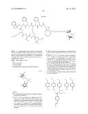 Metallocene Compounds and Labeled Molecules Comprising the Same for In     Vivo Imaging diagram and image