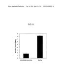 ADHESIVE BONE FILLING AGENT AND ADHESIVE BONE FILLING AGENT KIT diagram and image