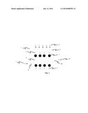 PHOTOCATALYTIC DEGRADATION OF SUGAR diagram and image