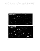 DEVICES AND METHODS FOR PRODUCING AND ANALYZING MICROARRAYS diagram and image