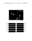 DEVICES AND METHODS FOR PRODUCING AND ANALYZING MICROARRAYS diagram and image