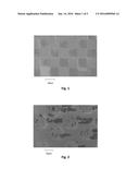 EPITAXIAL GRAPHENE WITH THICKNESS MODULATION diagram and image