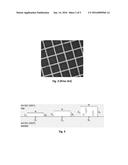 EPITAXIAL GRAPHENE WITH THICKNESS MODULATION diagram and image