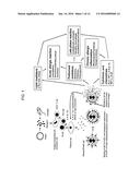 2,4-PYRIMIDINEDIAMINE COMPOUNDS AND THEIR USES diagram and image